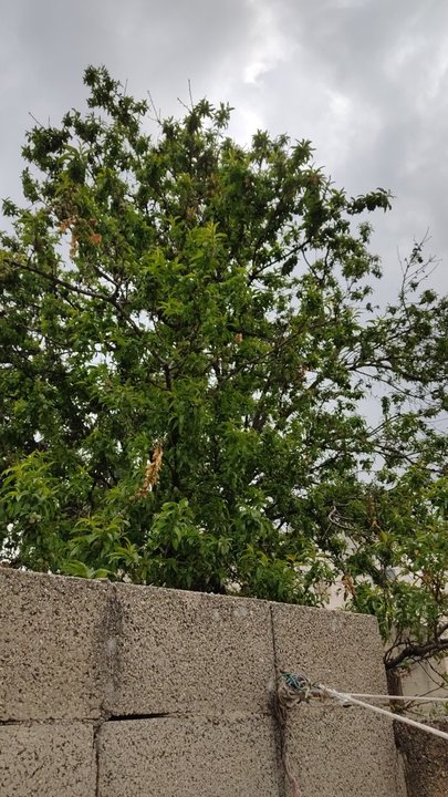 مشاركاتي في أنت الراصد