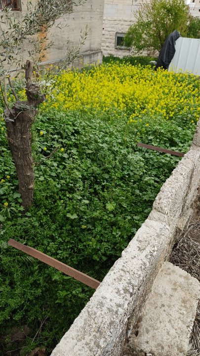 Mes publications Crowdsourcing