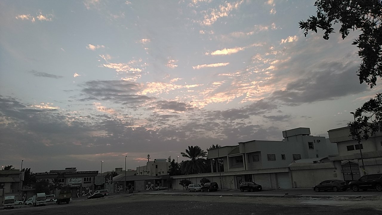 مشاركاتي في أنت الراصد