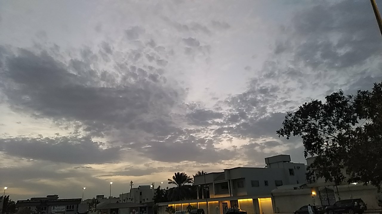 مشاركاتي في أنت الراصد