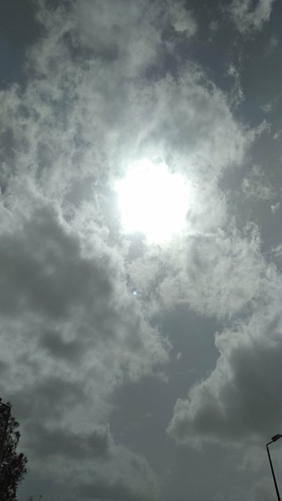 مشاركاتي في أنت الراصد