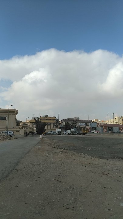 مشاركاتي في أنت الراصد