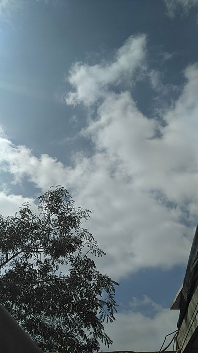 مشاركاتي في أنت الراصد