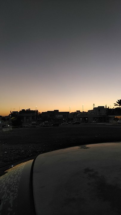 مشاركاتي في أنت الراصد