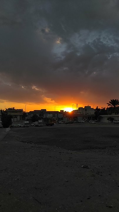 مشاركاتي في أنت الراصد