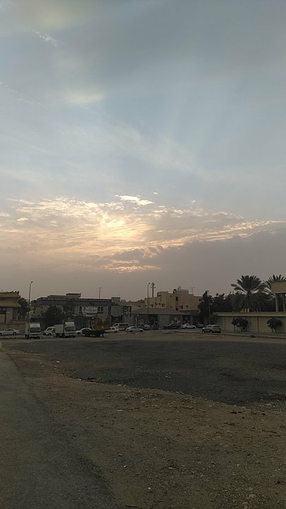 مشاركاتي في أنت الراصد