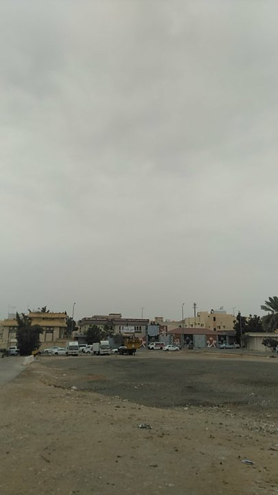 مشاركاتي في أنت الراصد