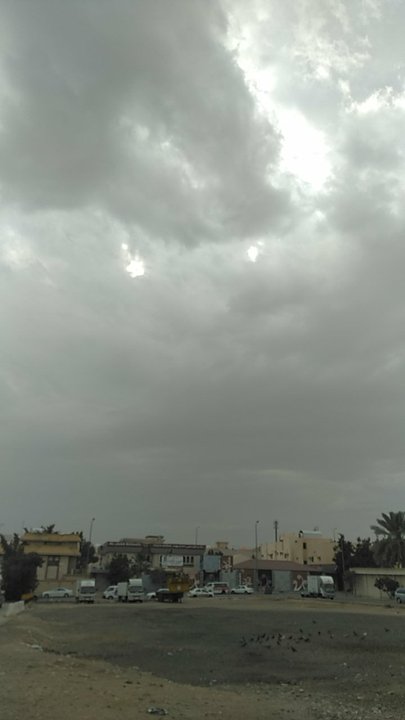 مشاركاتي في أنت الراصد