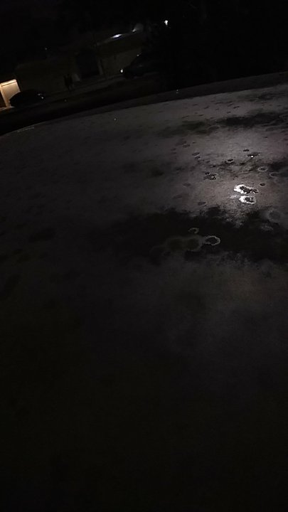 مشاركاتي في أنت الراصد