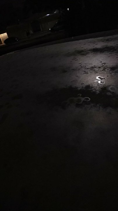 مشاركاتي في أنت الراصد