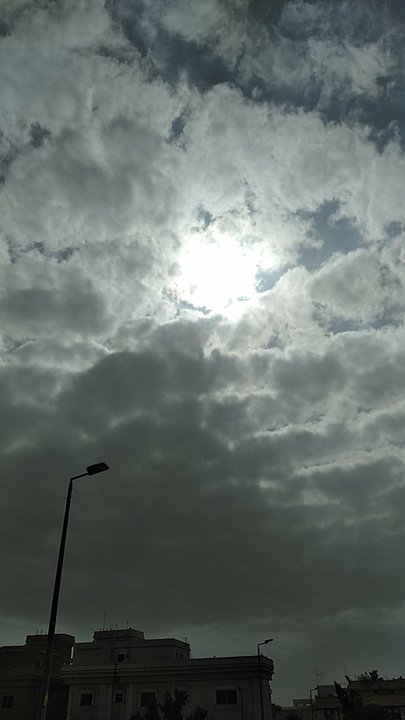 مشاركاتي في أنت الراصد