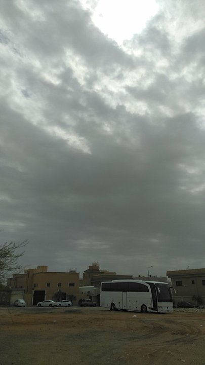 مشاركاتي في أنت الراصد