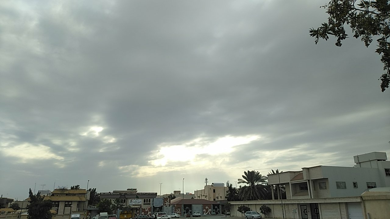 مشاركاتي في أنت الراصد