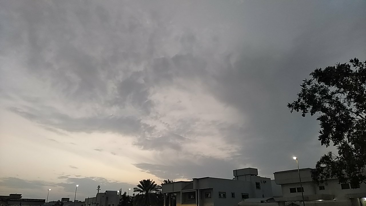 مشاركاتي في أنت الراصد