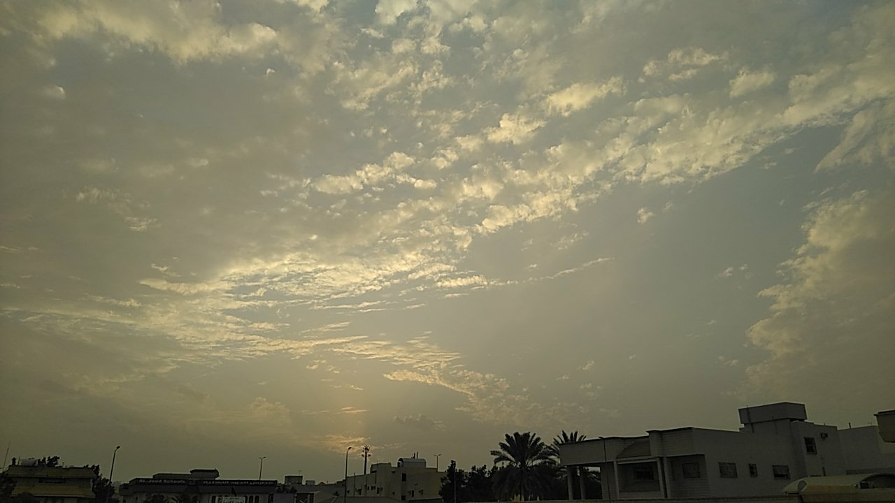 مشاركاتي في أنت الراصد