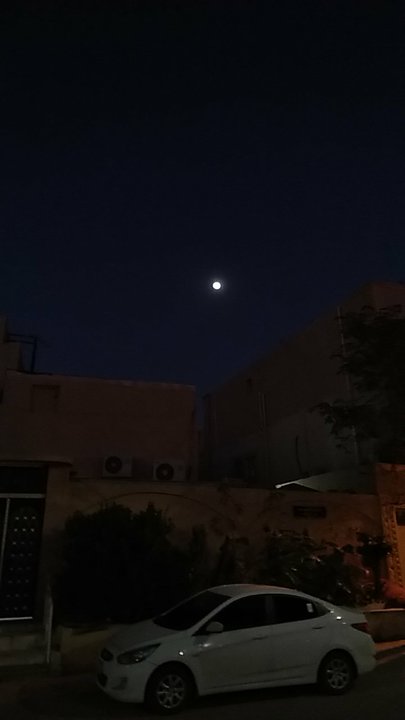 مشاركاتي في أنت الراصد