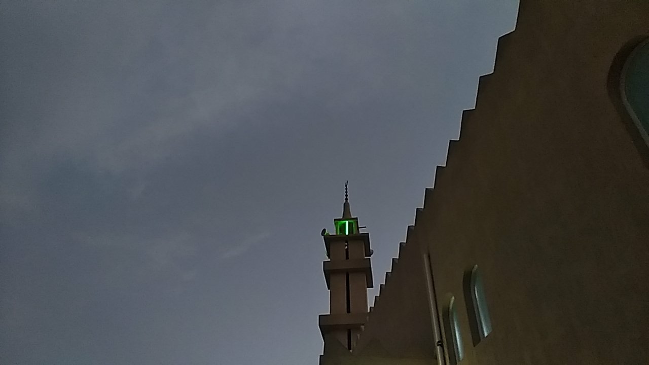 مشاركاتي في أنت الراصد