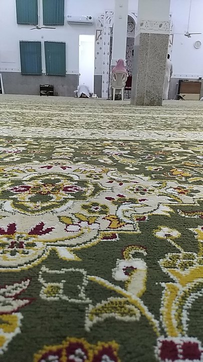 مشاركاتي في أنت الراصد