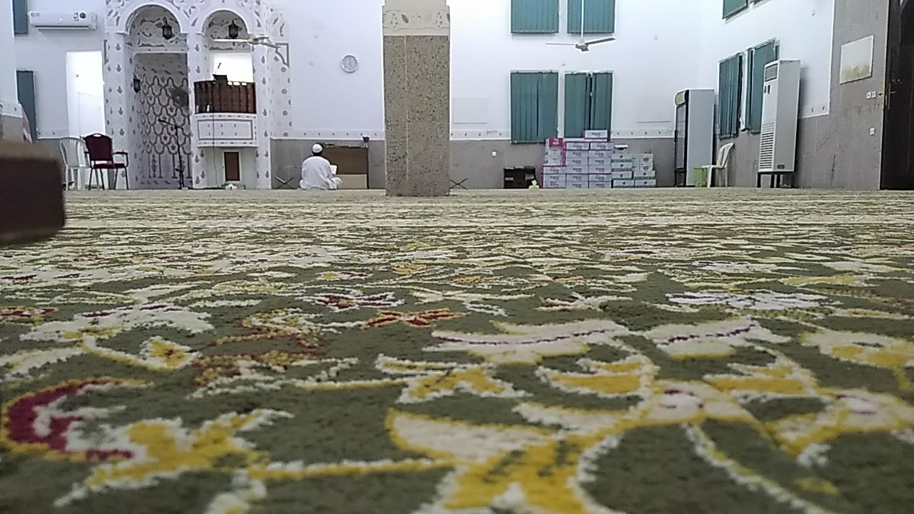 مشاركاتي في أنت الراصد