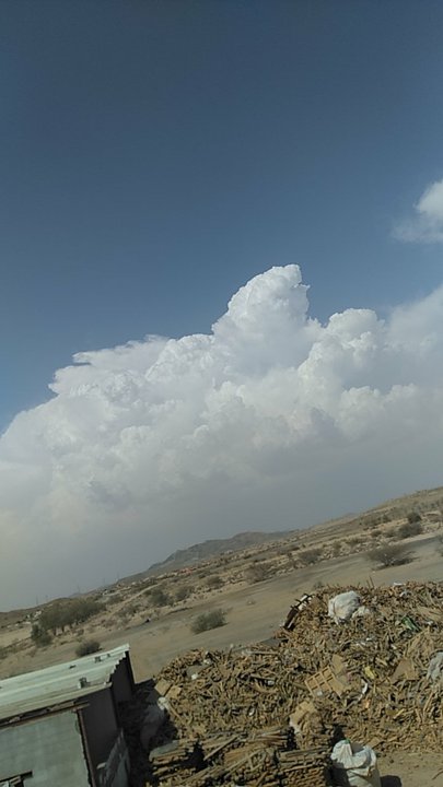 مشاركاتي في أنت الراصد