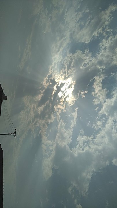 مشاركاتي في أنت الراصد