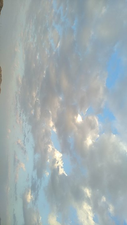 مشاركاتي في أنت الراصد