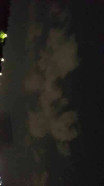 مشاركاتي في أنت الراصد