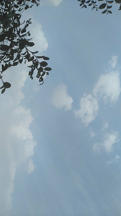 مشاركاتي في أنت الراصد