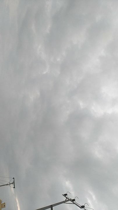 مشاركاتي في أنت الراصد