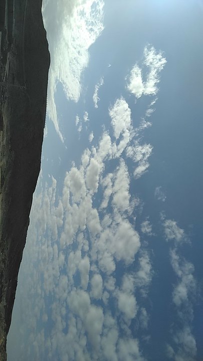 مشاركاتي في أنت الراصد