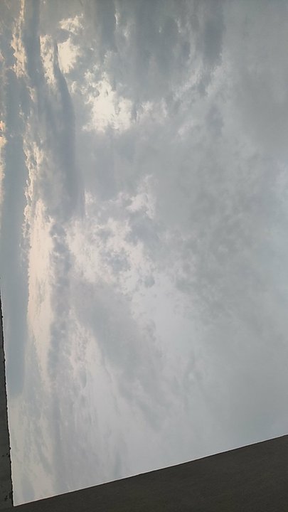 مشاركاتي في أنت الراصد