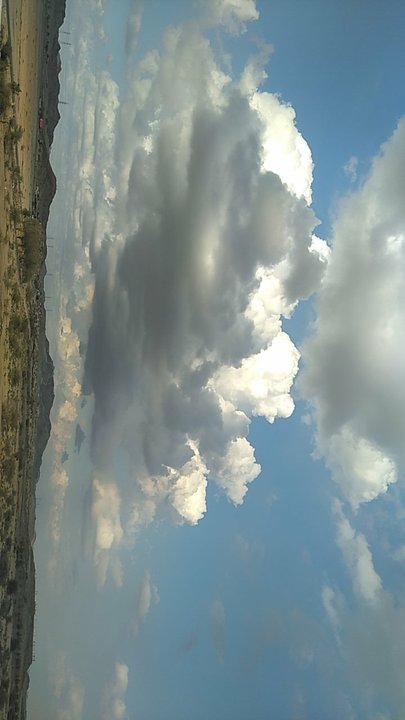 مشاركاتي في أنت الراصد