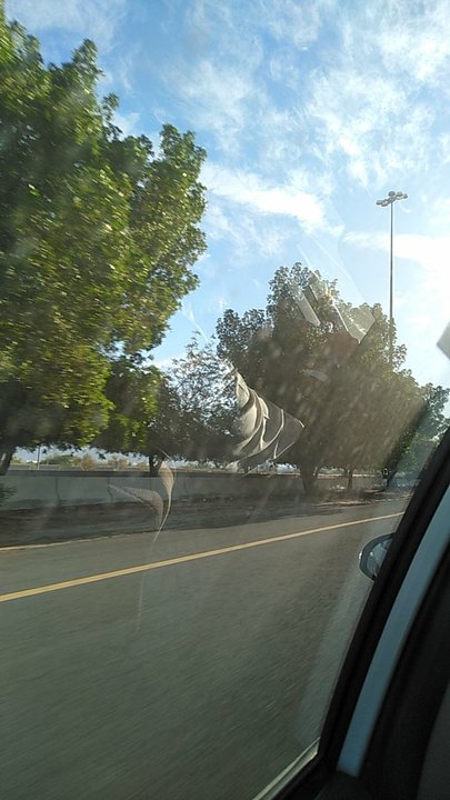 مشاركاتي في أنت الراصد