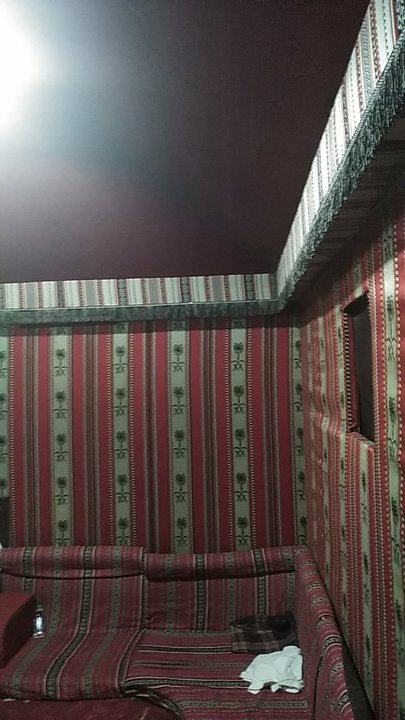 مشاركاتي في أنت الراصد