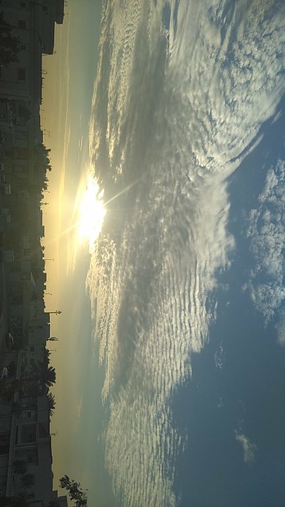 مشاركاتي في أنت الراصد