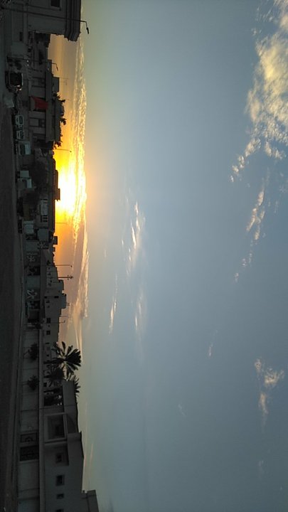 مشاركاتي في أنت الراصد