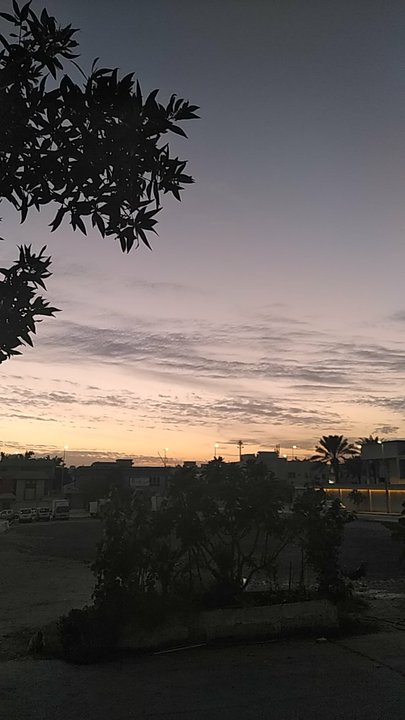 مشاركاتي في أنت الراصد