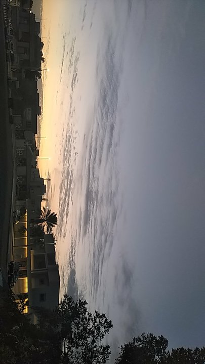 مشاركاتي في أنت الراصد