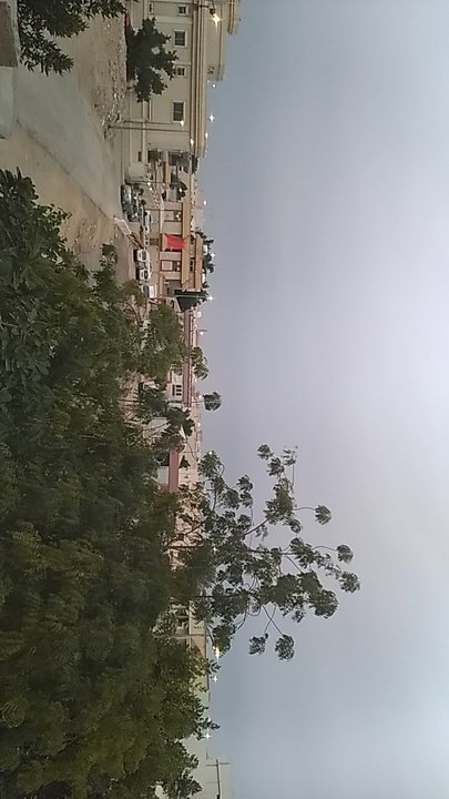 مشاركاتي في أنت الراصد