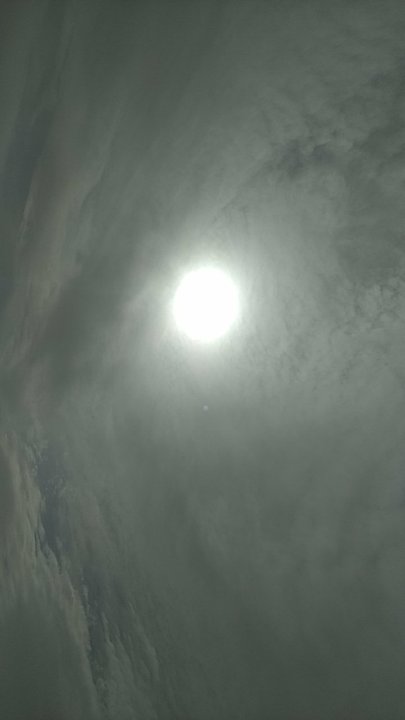 مشاركاتي في أنت الراصد