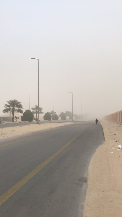 مشاركاتي في أنت الراصد