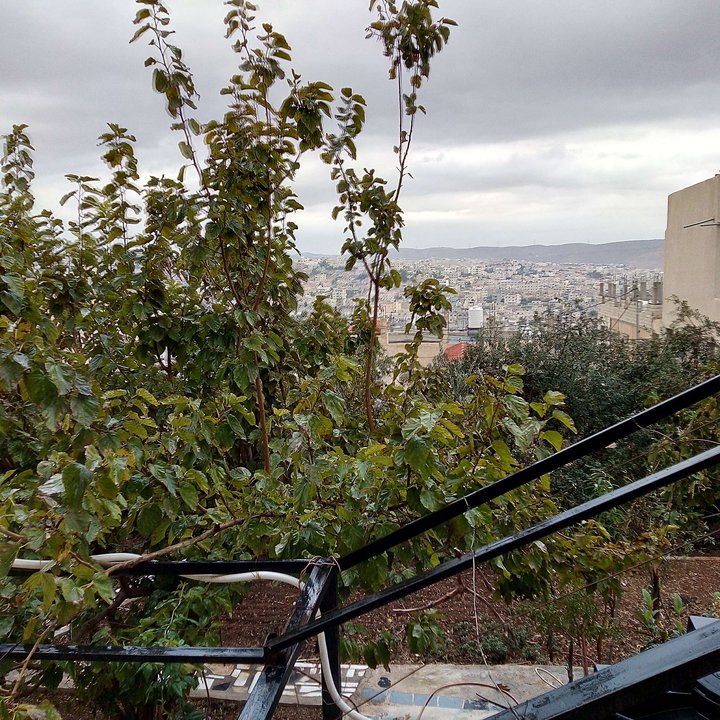 My Crowdsourcing Posts