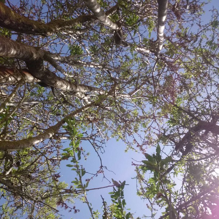 مشاركاتي في أنت الراصد