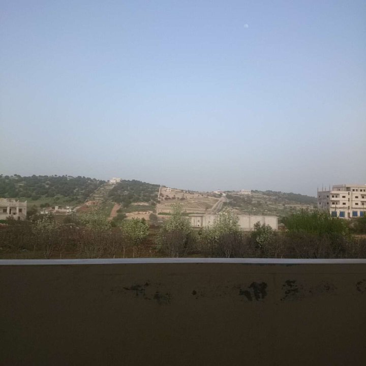 مشاركاتي في أنت الراصد