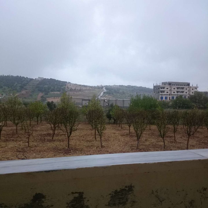 مشاركاتي في أنت الراصد