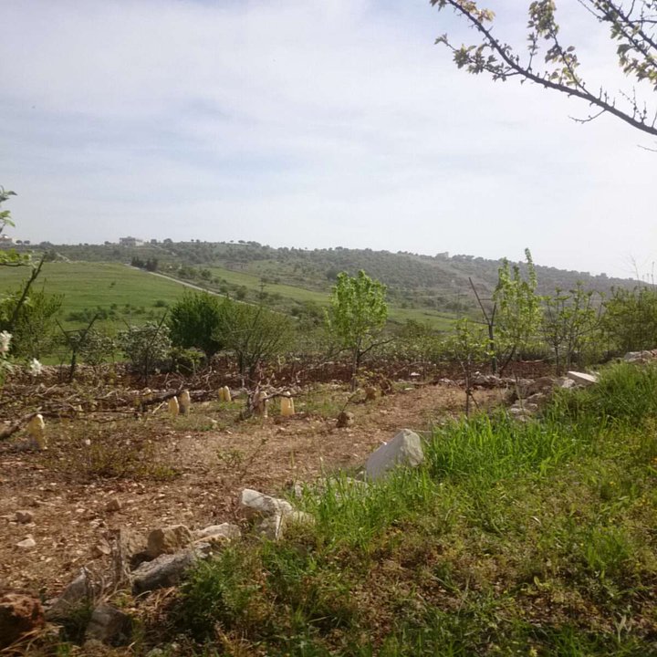 Mes publications Crowdsourcing