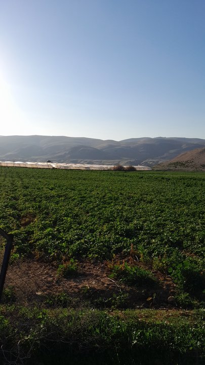 مشاركاتي في أنت الراصد