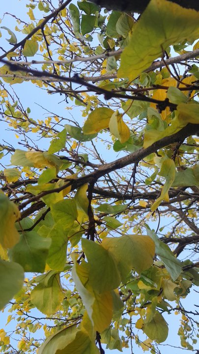 My Crowdsourcing Posts