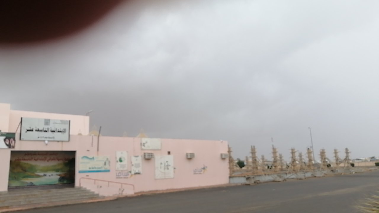 مشاركاتي في أنت الراصد