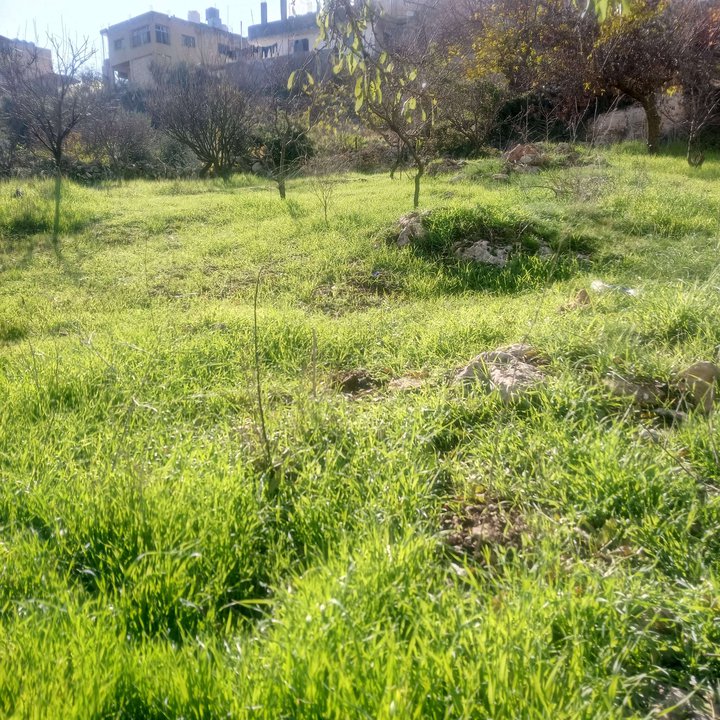 My Crowdsourcing Posts